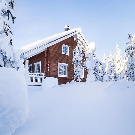 Ounasvaaran Lakituvat Chalets Rovaniemi Ngoại thất bức ảnh
