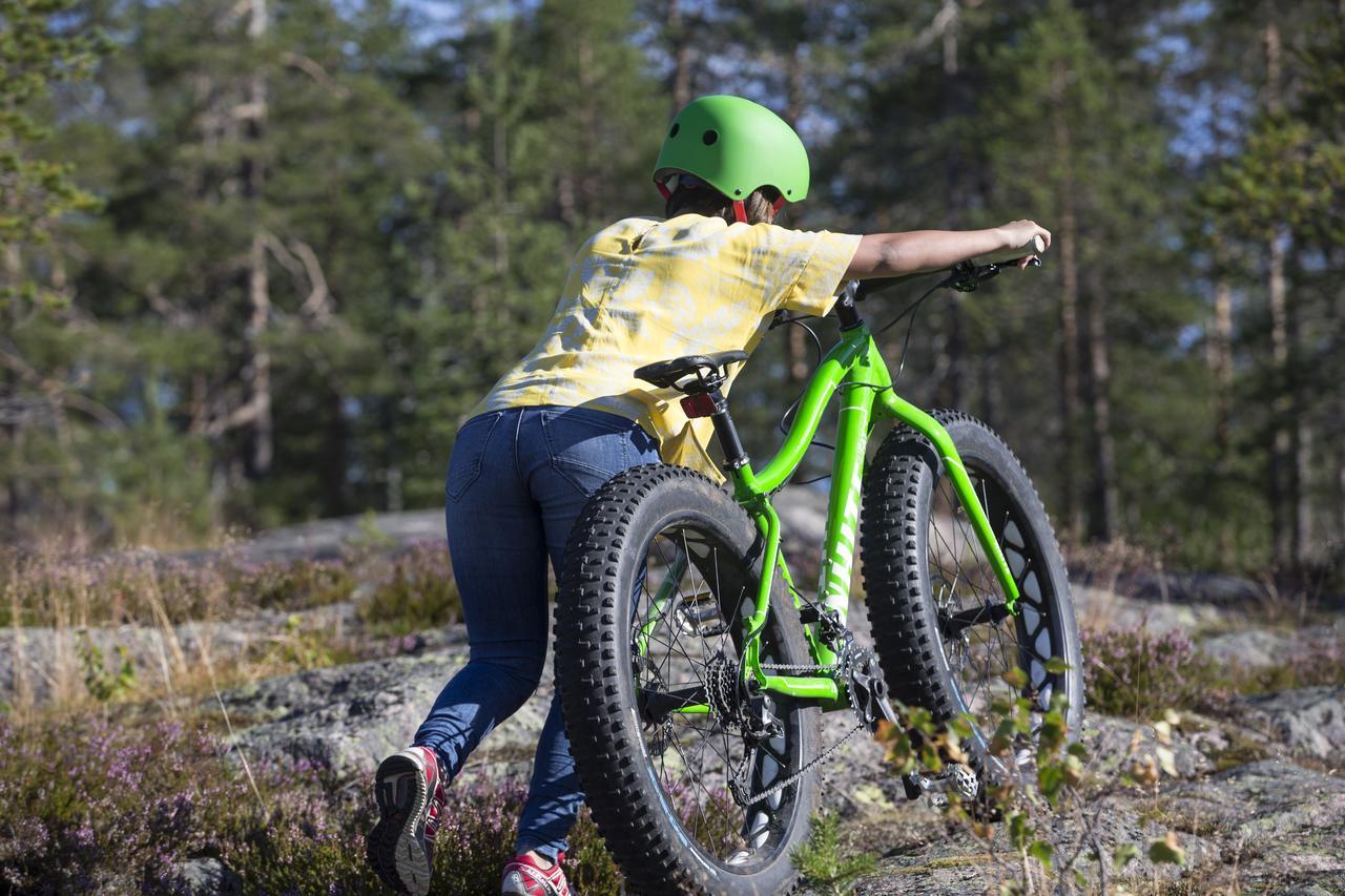 Ounasvaaran Lakituvat Chalets Rovaniemi Ngoại thất bức ảnh