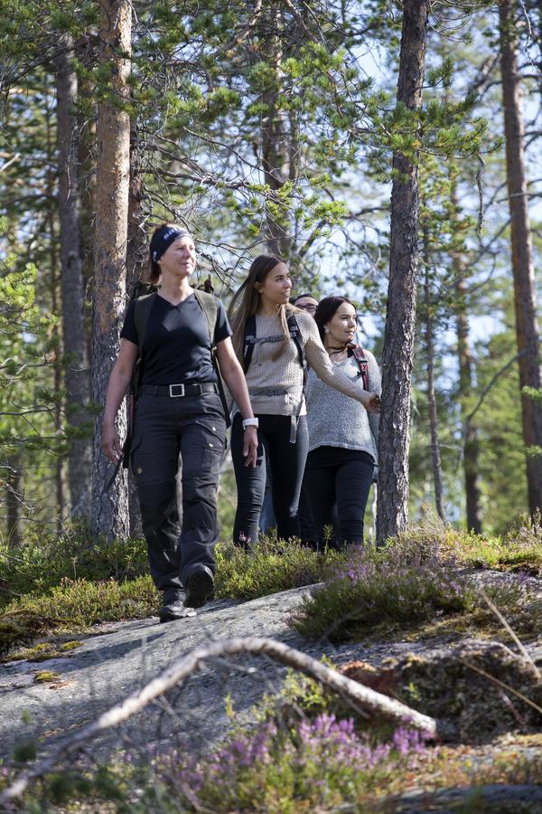 Ounasvaaran Lakituvat Chalets Rovaniemi Ngoại thất bức ảnh