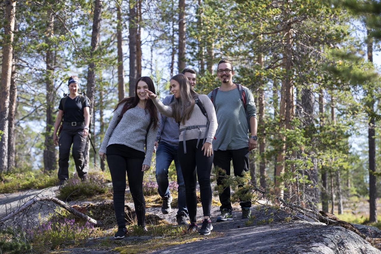Ounasvaaran Lakituvat Chalets Rovaniemi Ngoại thất bức ảnh