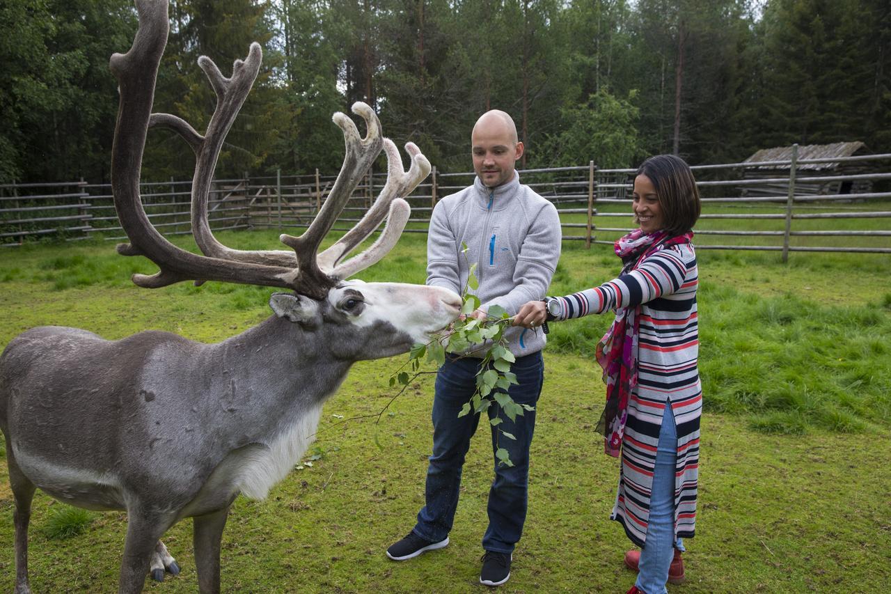 Ounasvaaran Lakituvat Chalets Rovaniemi Ngoại thất bức ảnh