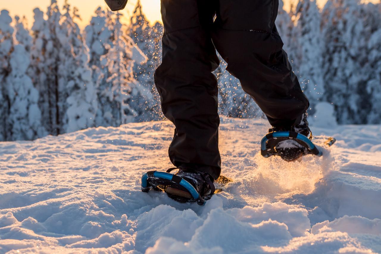 Ounasvaaran Lakituvat Chalets Rovaniemi Ngoại thất bức ảnh