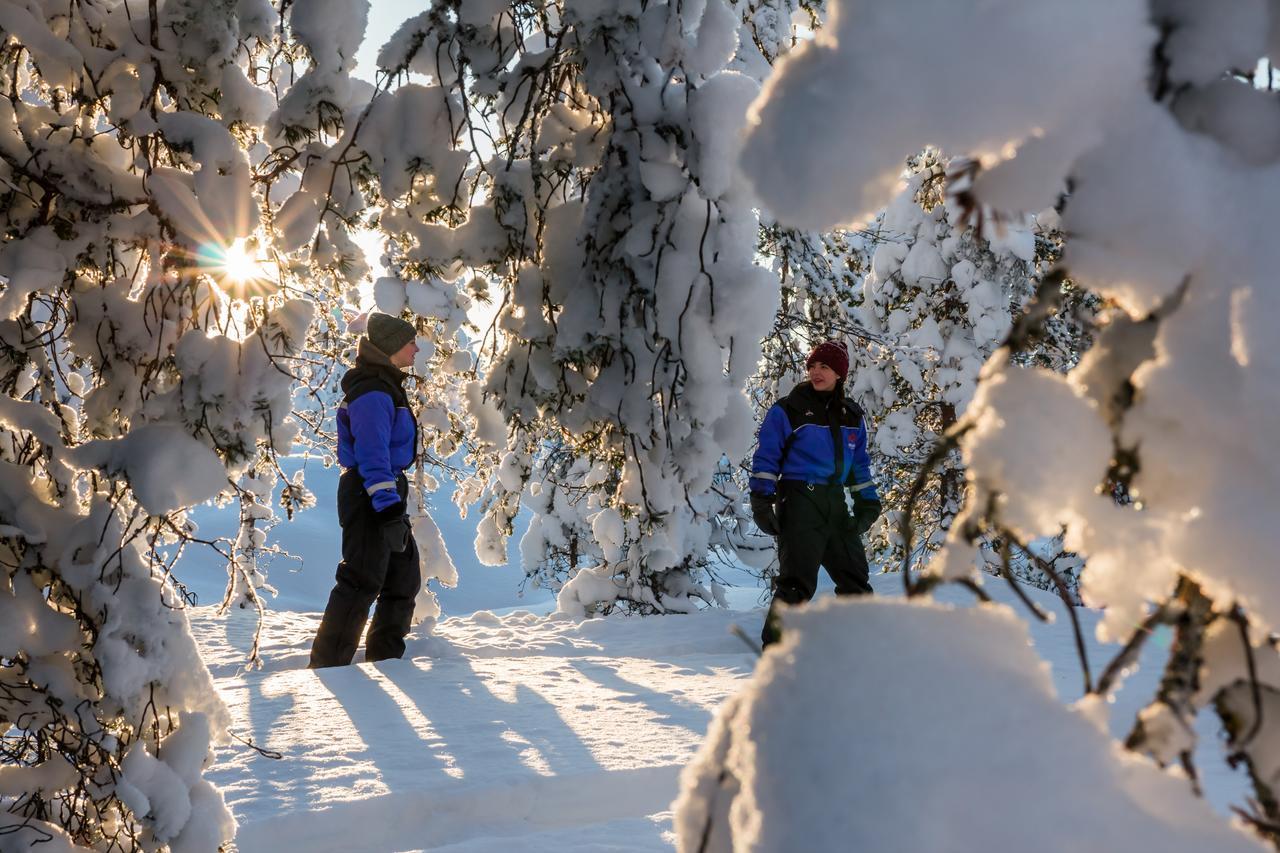 Ounasvaaran Lakituvat Chalets Rovaniemi Ngoại thất bức ảnh